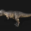 Realistic 3D Tyrannosaurus Rex Model With Open Mouth And Sharp Teeth