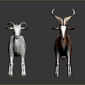 Two White And Brown Goats Standing On Red Platform With Gray Background 3d model