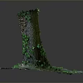 Tall Tree Trunk Covered with Green Vines and Moss at Base with Small Plants