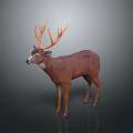 Realistic Brown Deer Sculpture With Orange Antlers Standing On Gray Background