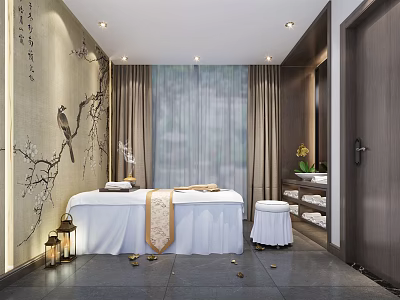 New Chinese SPA Club Physical Therapy Foot Therapy Beauty Salon 3d model