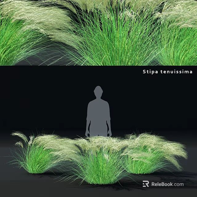 Elegant Decorative Ornament Combination with Stipa tenuissima Grass for Home Decor 3d model 