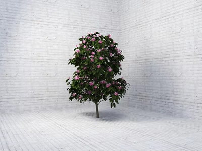 Pink Flowering Arbor In White Brick Wall Corner With White Brick Floor 3d model