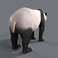 Realistic 3D Panda Model With Black And White Fur Standing On Gray Background