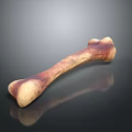 Realistic Bone 3D Model With Maroon Beige Texture And Reflection On Black Surface 3d model