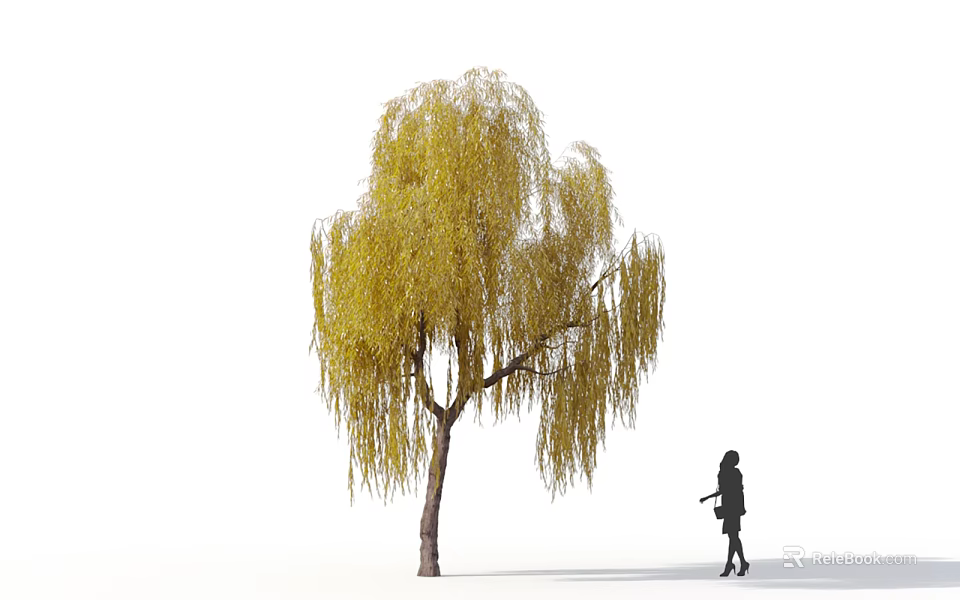 Yellow Weeping Willow Tree With Long Hanging Branches And Girl Silhouette Walking Nearby 3d model 