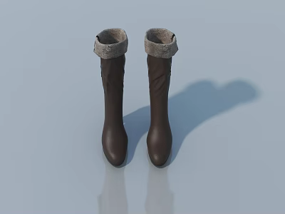 Brown Leather Boots With Gray Fur Trim On Light Blue Background And Reflection 3d model