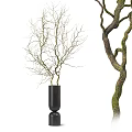 Black Vase Decor With Twig Branches And Curved Moss Covered Branch
