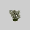 Ornamental Tree Decoration Set With White Flowers And Green Grass Base For Home Decor