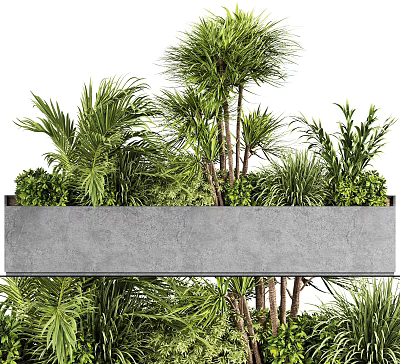 Modern Potted Plants In Concrete Planter With Green Palm And Shrubs For Indoor Decor 3d model
