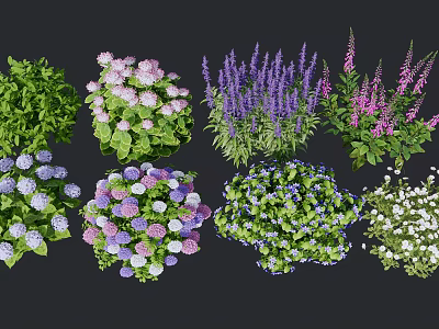 Modern Flowers Flowers Flowers 3d model