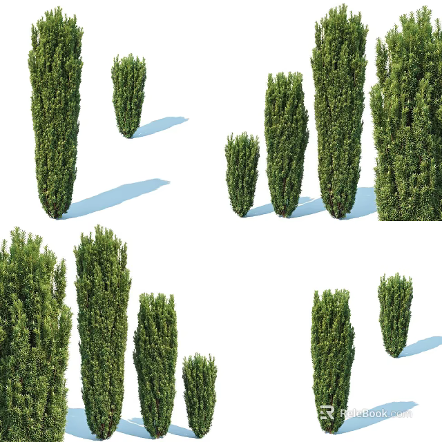 Arbor Trees Displayed In Various Sizes And Heights With Lush Green Foliage And Shadows 3d model 