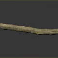 Natural Tree Trunk Plant with Weathered Texture and Brown Green Hues on Dark Reflective Surface
