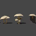 Various Mushroom Models With Different Shapes And Shadows On Gray Background 3d model