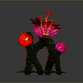 3D Rendered Cactus Plant With Red And Pink Flowers And Green Leaves Stems
