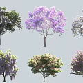 Different Species of Flowering Trees with Lush Foliage and Vibrant Blooms for Garden Landscape Design