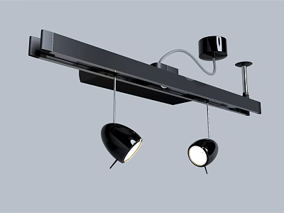 Black Track Mounted Downlights And Spotlights Modern Ceiling Lighting Fixture 3d model