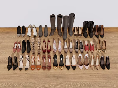 Various Styles And Colors Of Shoes Neatly Arranged On Wooden Floor 3d model