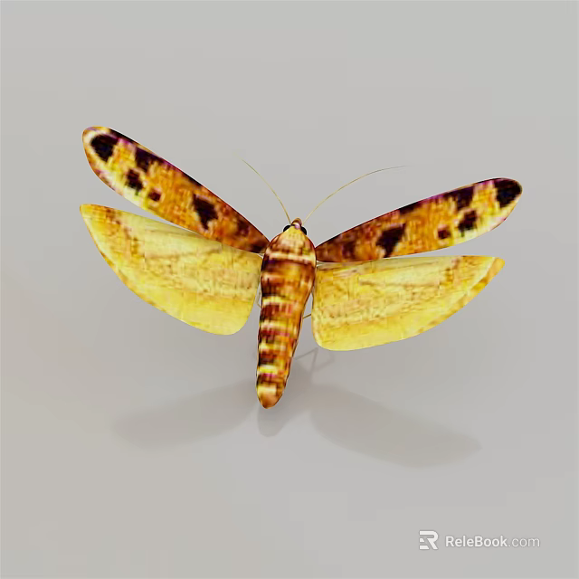 Vibrant Yellow Moth With Brown Spotted Wings And Striped Body On Gray Background 3d model 