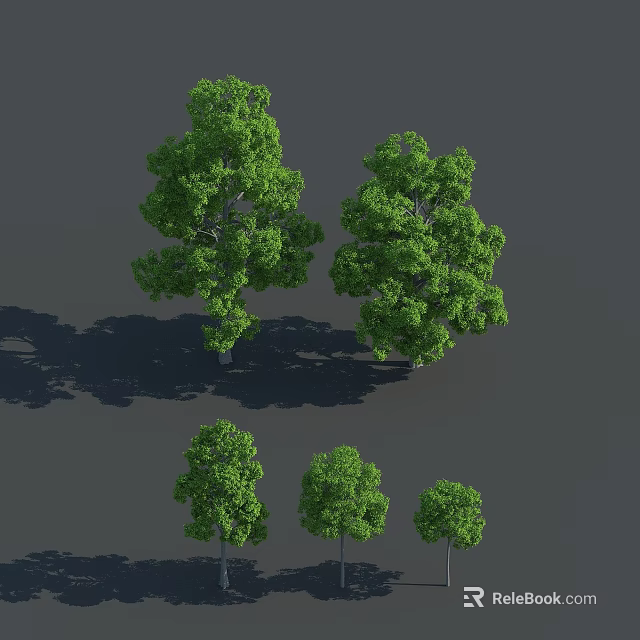 Various Sizes Of Green Arbor Trees With Lush Foliage And Natural Shadow 3d model 