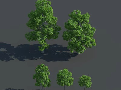 Various Sizes Of Green Arbor Trees With Lush Foliage And Natural Shadow 3d model
