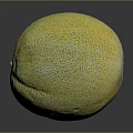 Fresh Ripe Yellow And Green Melon With Net Like Texture On Black Surface