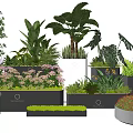 Bonsai and Potted Plants in Varied Shaped Planters with Greenery and Flowering Blooms