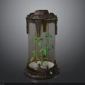 Metal Frame Glass Container With Small Indoor Plant And Red Fruits
