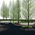 Serene Park Landscape With Rows Of Trees Water Surface Rock Features And Seating Areas