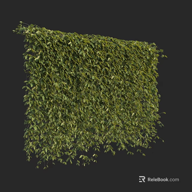 Green Plant Wall With Lush Green Leaves And Dense Foliage On Dark Background 3d model 