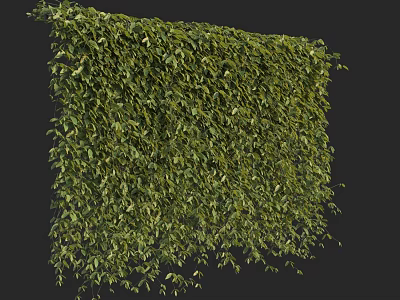 Green Plant Wall With Lush Green Leaves And Dense Foliage On Dark Background 3d model
