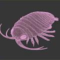 Realistic Pink Isopod 3D Model With Smooth Exoskeleton And Detailed Appendages