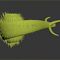 Vibrant Green Spiral Shaped Spiny Aquatic Animal With Curved Body Structure
