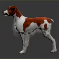 3D Rendered Red and White Dog Standing on Dark Background with Reflection