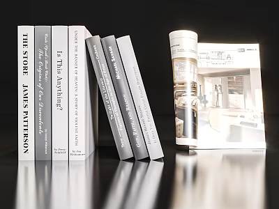 Modern Design Books And Interior Magazine With White Gray Covers On Table 3d model