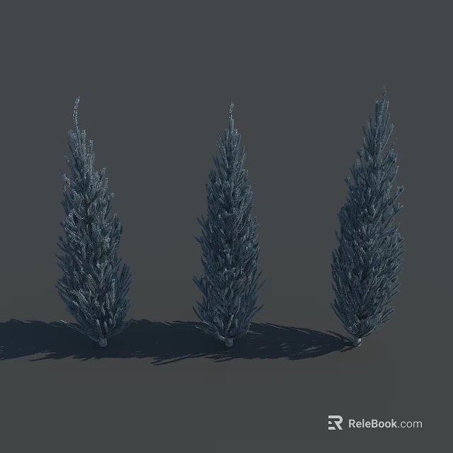 Three Tall Upright 3D Model Trees With Dense Foliage and Cast Shadows 3d model 