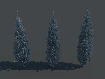 Three Tall Upright 3D Model Trees With Dense Foliage and Cast Shadows 3d model