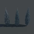 Three Tall Upright 3D Model Trees With Dense Foliage and Cast Shadows