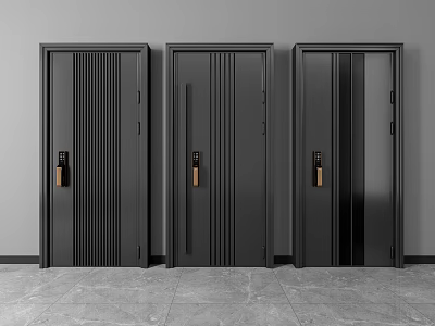 Modern Black Security Doors With Sleek Lines And Brass Handles 3d model