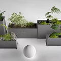 Gray Rectangular Planters With Various Green Plants BAND Label And White Sphere Decorative Scene