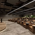 School Lecture Hall Interior Design With Podium Seats Projection Screen And Green Plants