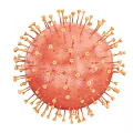 Microscopic View Of Red Virus Structure With Yellow Spikes And Protein Projections