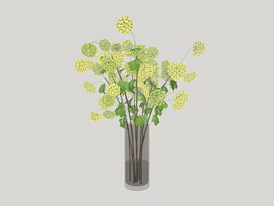 Yellow Hydrangea Flowers in Tall Clear Glass Vase with Fresh Green Leaves 3d model