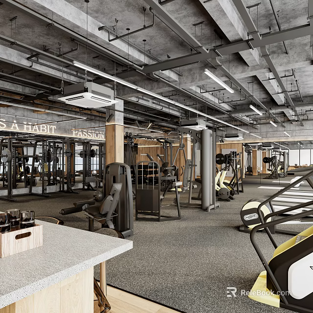 Modern Industrial Gym Spacious Workout Space With Treadmills Weight Machines And Natural Light From Windows 3d model 