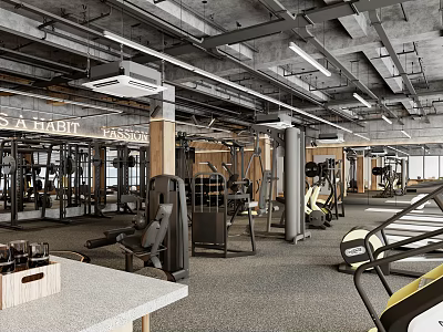 Modern Industrial Gym Spacious Workout Space With Treadmills Weight Machines And Natural Light From Windows 3d model