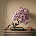 Cherry Blossom Bonsai Tree With Twisted Trunk In Black Rectangular Pot On Wooden Table 3d model