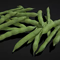 Fresh Green Bean Pods Arranged On Black Background Surface 3d model