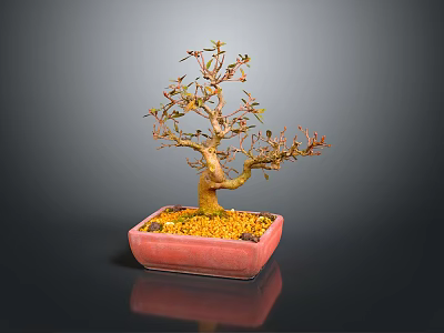 Artistic Bonsai Tree in Red Square Pot with Yellow Gravel and Colorful Leaves 3d model