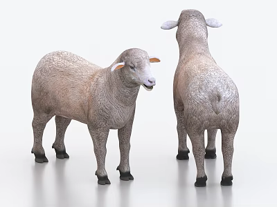 Two Realistic Sheep Sculptures With Front And Back Views On White Background 3d model