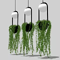 Hanging Basket Plants With Black Frames White Spheres Trailing Green Leaves On Gray Background